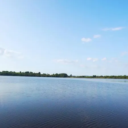 Sunrise On Shores Off Lough Gowna Scrabby