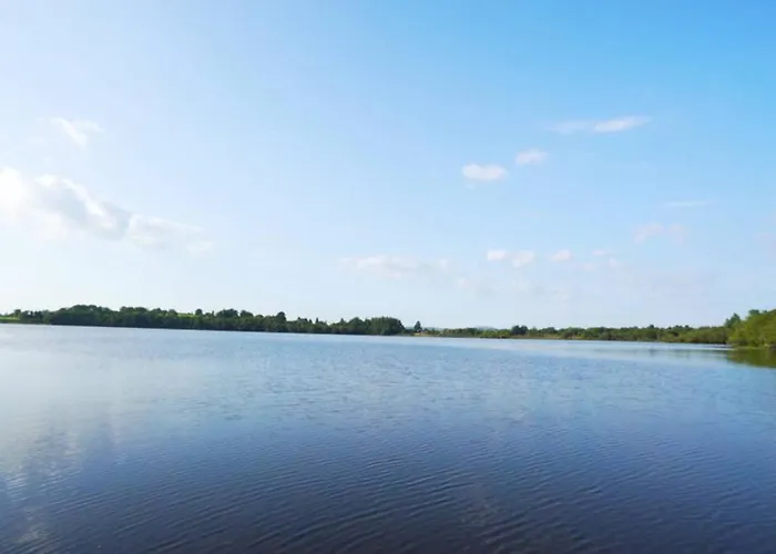 Sunrise On Shores Off Lough Gowna Scrabby