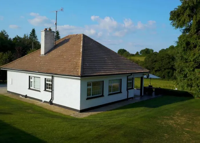 Sunrise On Shores Off Lough Gowna Scrabby